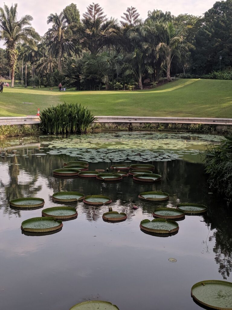 A manicured public garden