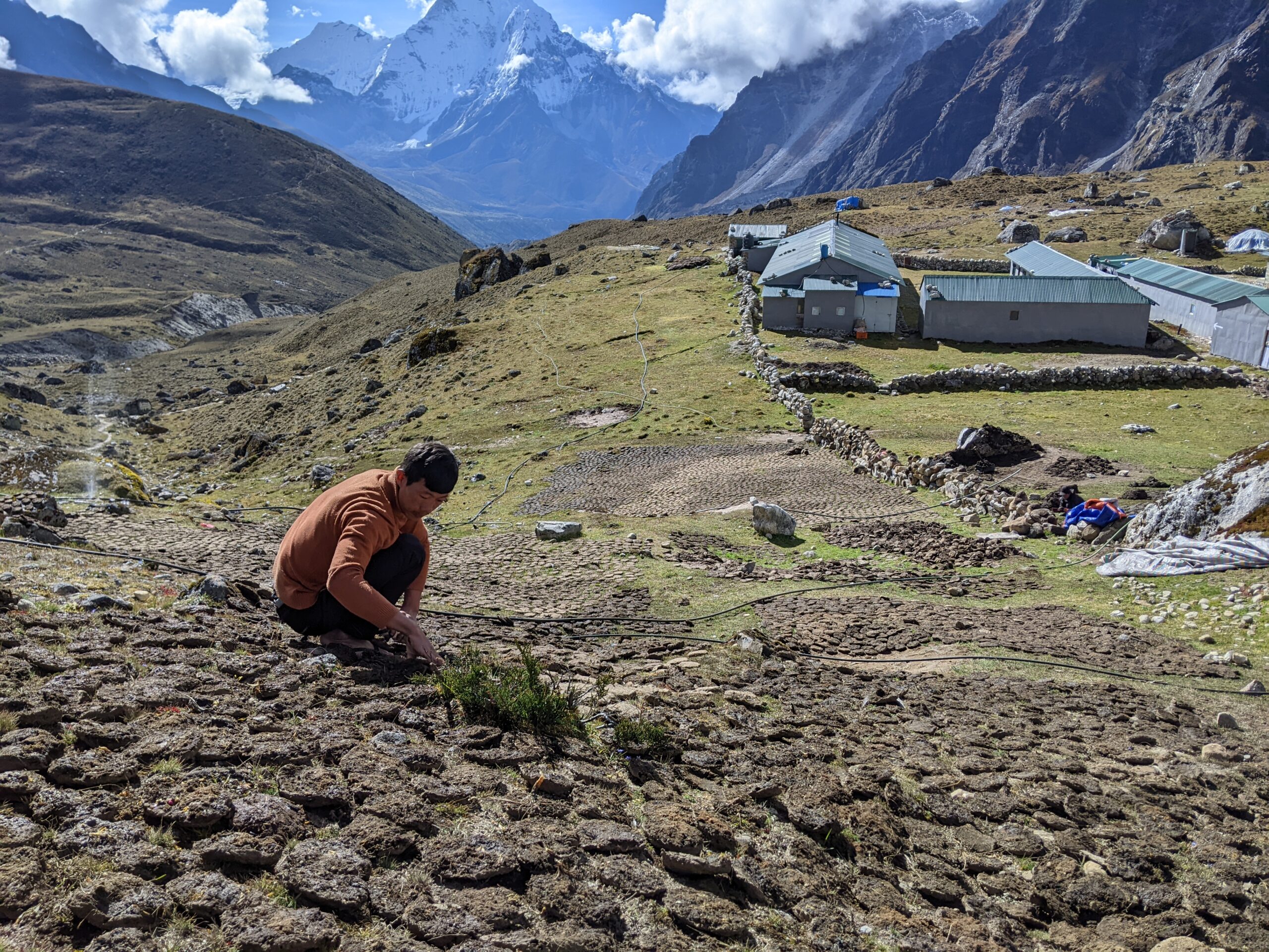 Yak dung duty at Dzongla