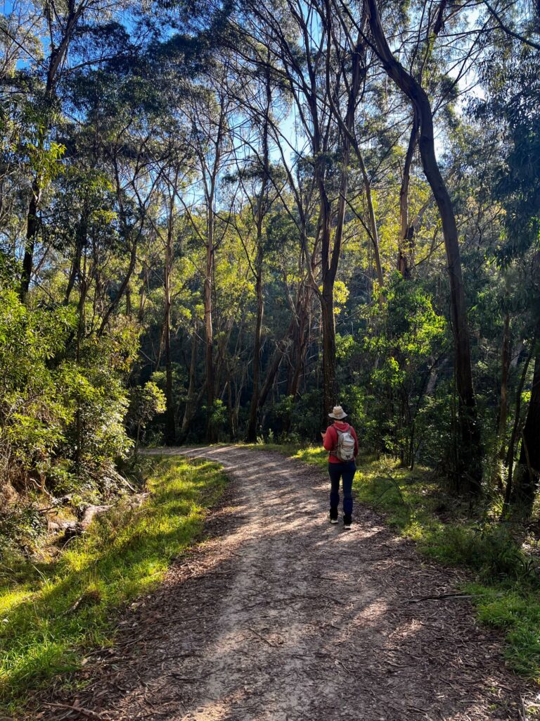 A woman bushwalking