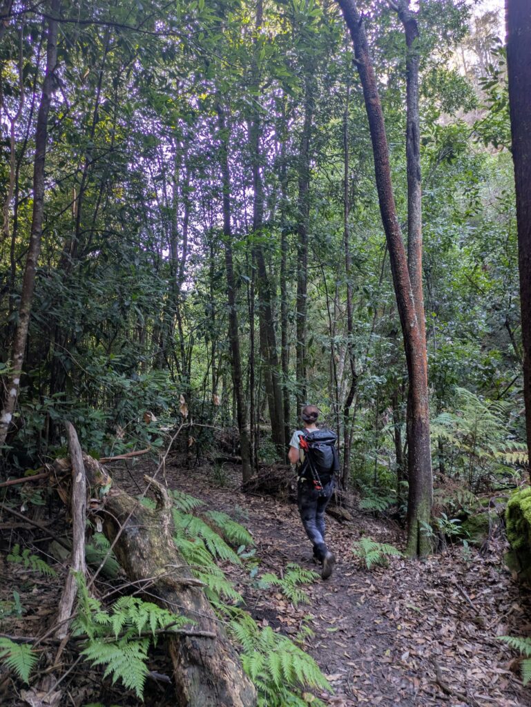 A woman walking on a path through the bush