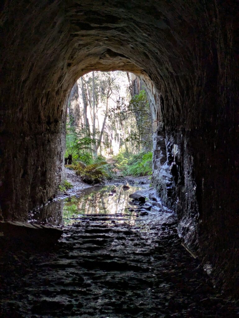 A bush setting from the inside of an abandoned train tunnel