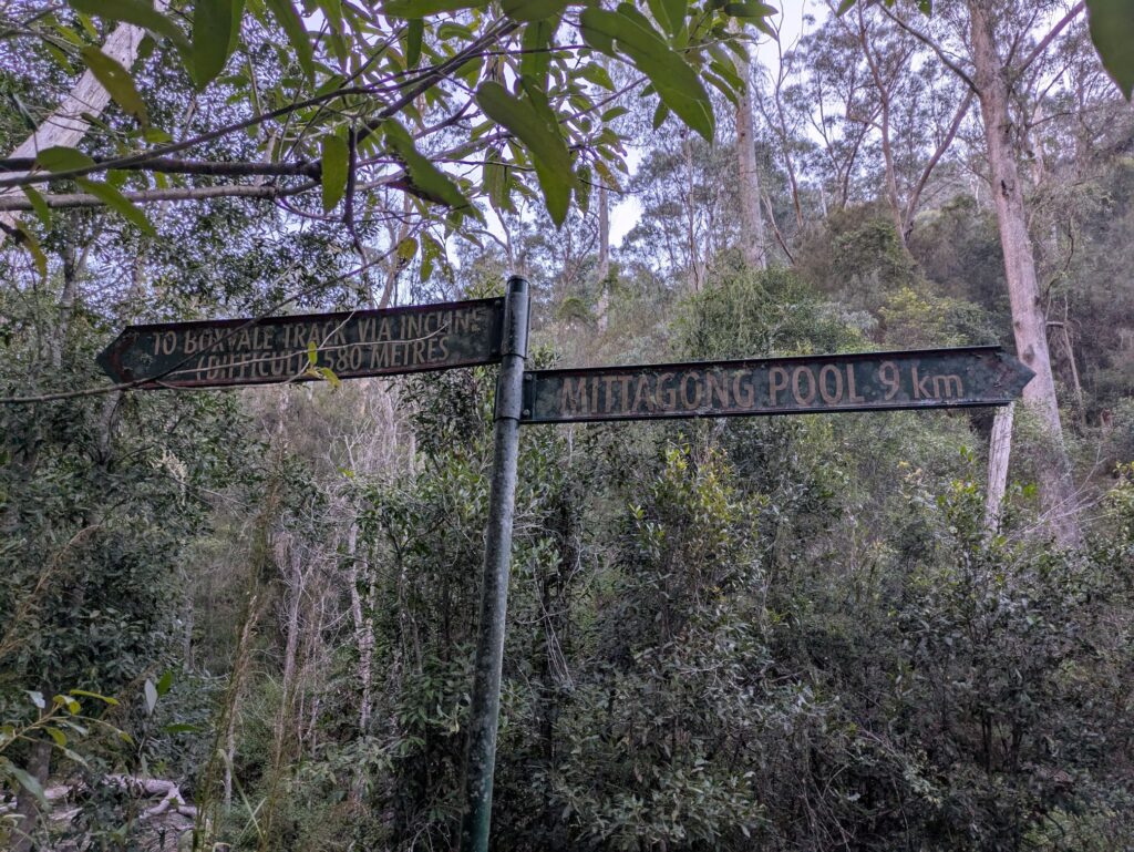 A moldy street sign deep in the forest