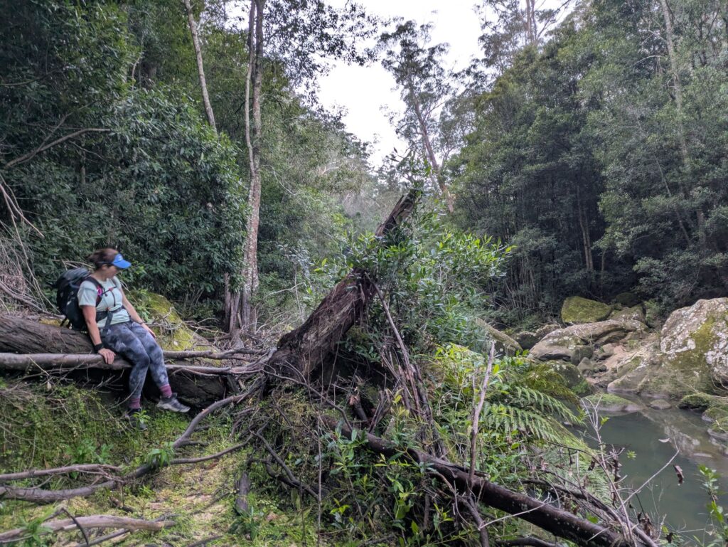 A woman maneuvering her way over a fallen tree and a lot of river debris