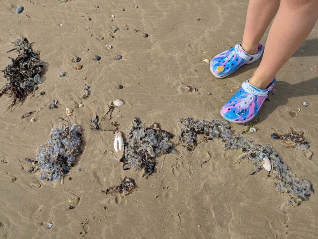 A child's feet next to about a hundred blue bottles washed up on a beach