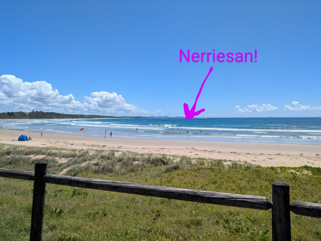 A swimming beach with people in the water