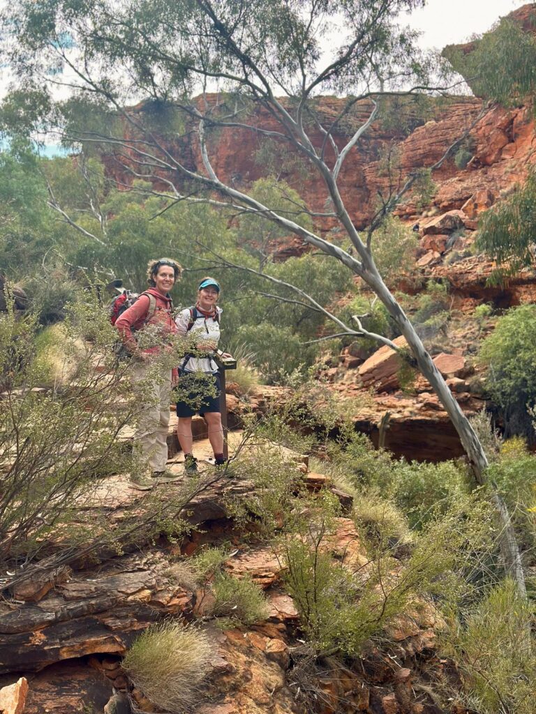 Two friends hiking in the Australian bush