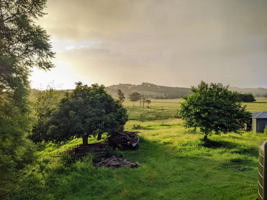 a view over a lush green farm with the sun setting behind the hills in the distance