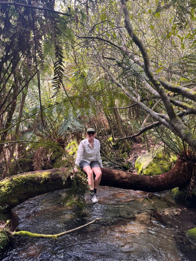 A woman sitting on a large tree branch which reaches horizontally across a creek