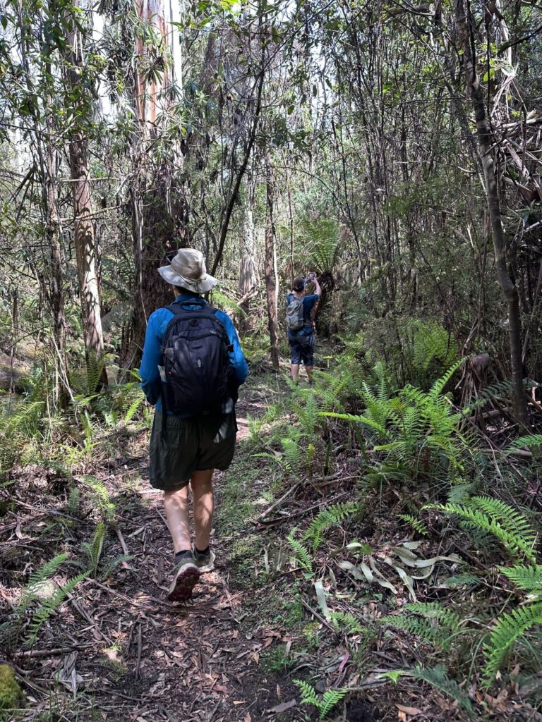 Two women walking on a trail in the bush