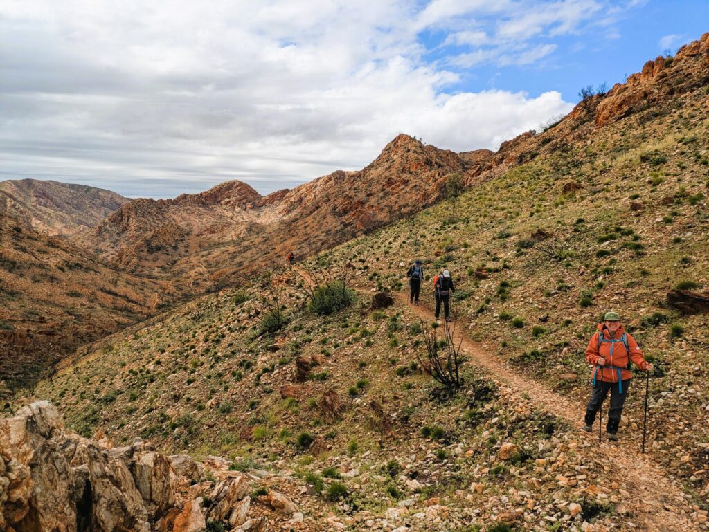 Hikers following a path through rocky vegetation with mountains in the distance