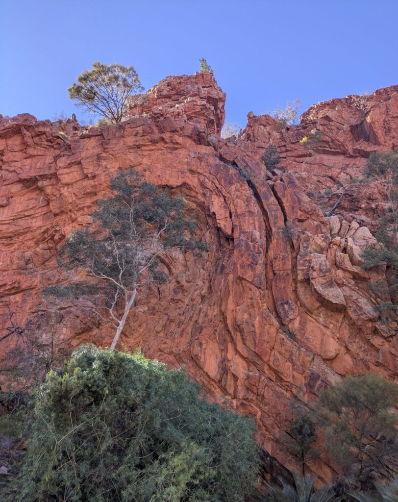 Rounded lines within a large red rock wall indicating where the earth shifted