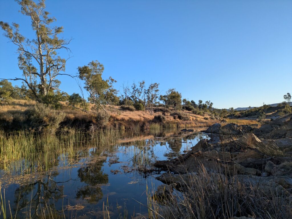 Early morning view of a still river with reeds and rocks creating beautiful shadows