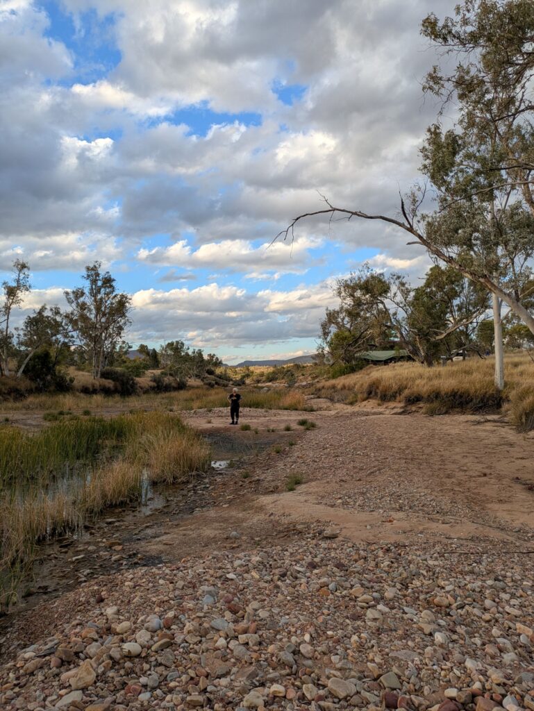 Standing in a wide dry river bed with desert trees and grass on each side, a woman in the middle of the river bed in the distance