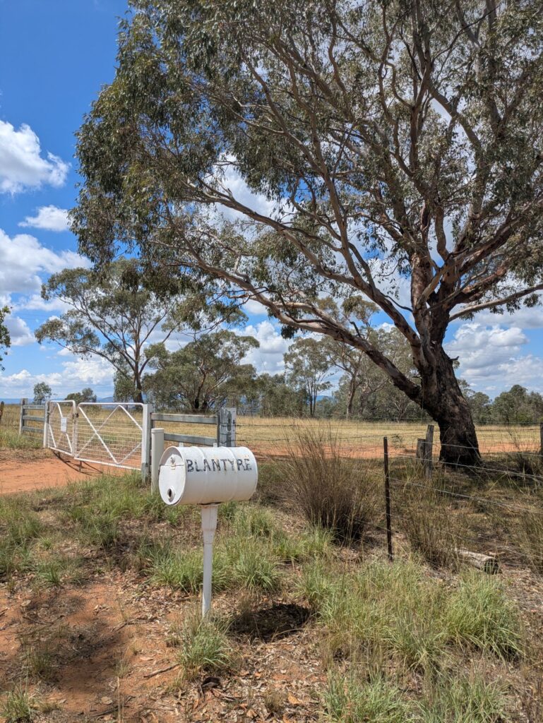 A white letterbox with the word Blantyre painted in black, standing outside a white painted gate to a large farm