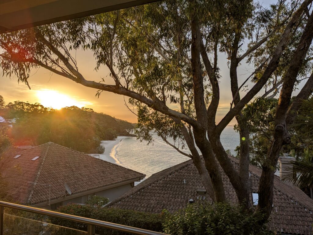 A view from an apartment balcony, looking out through a gum tree with a white beach in the background and the sun setting in the distance