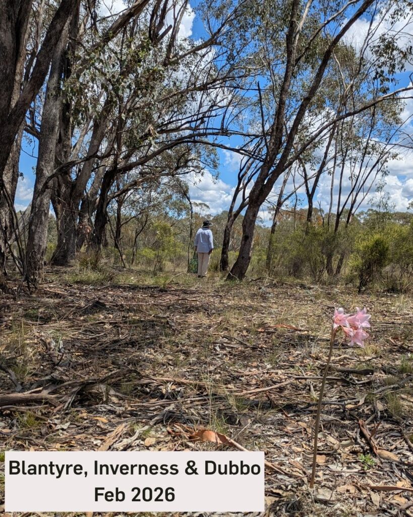 A title page for a blog about a trip to Dubbo