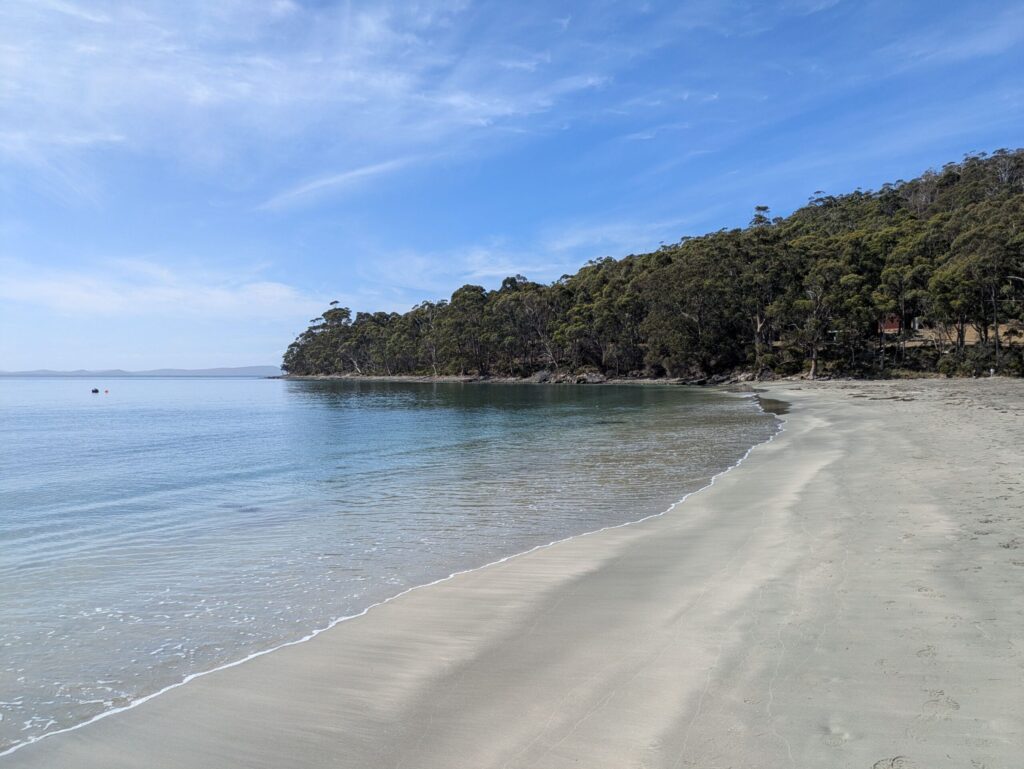 A white sandy beach, with a forested headland on a bright blue day