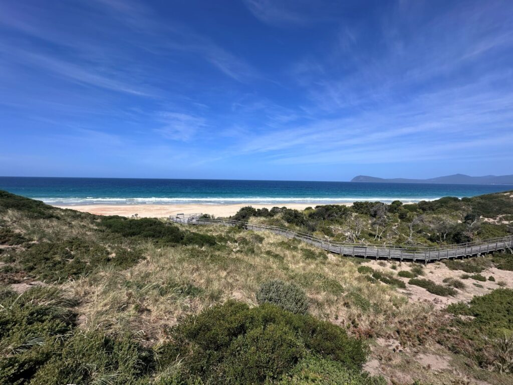 A raised walking path ambles towards a yellow sandy beach on a bright blue day