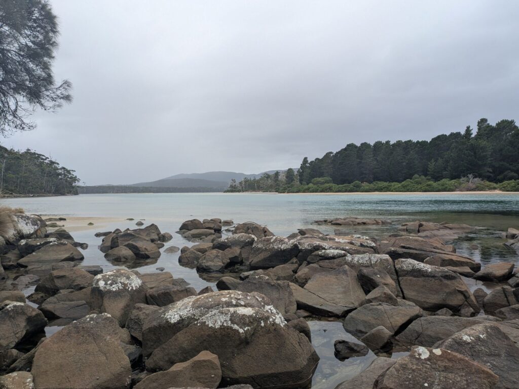 A lagoon surrounded by forest on a bleak day