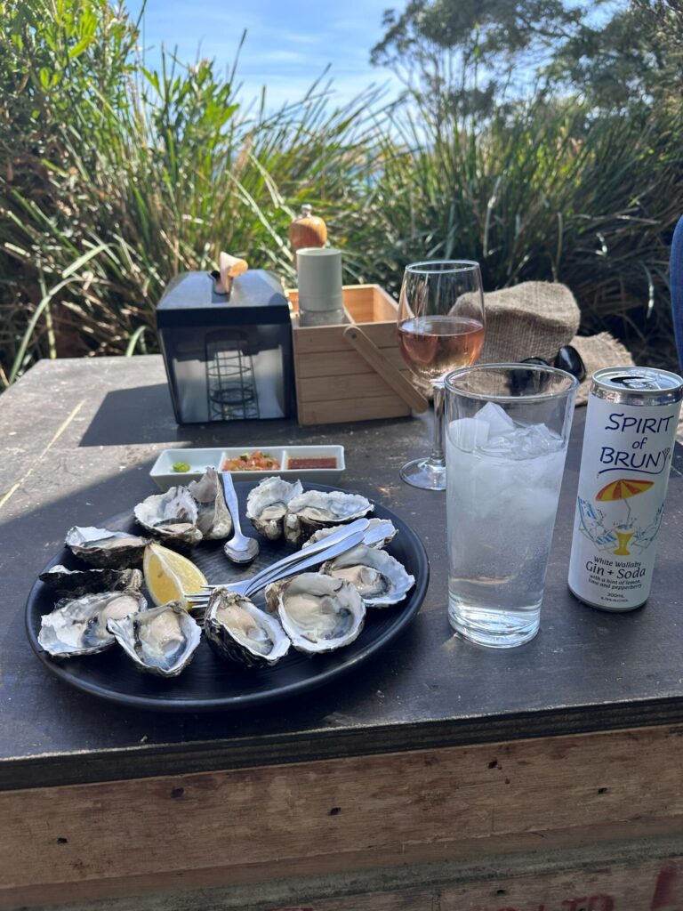 A plate of oysters and 2 glasses of alcohol on a small table with greenery and the ocean in the distance