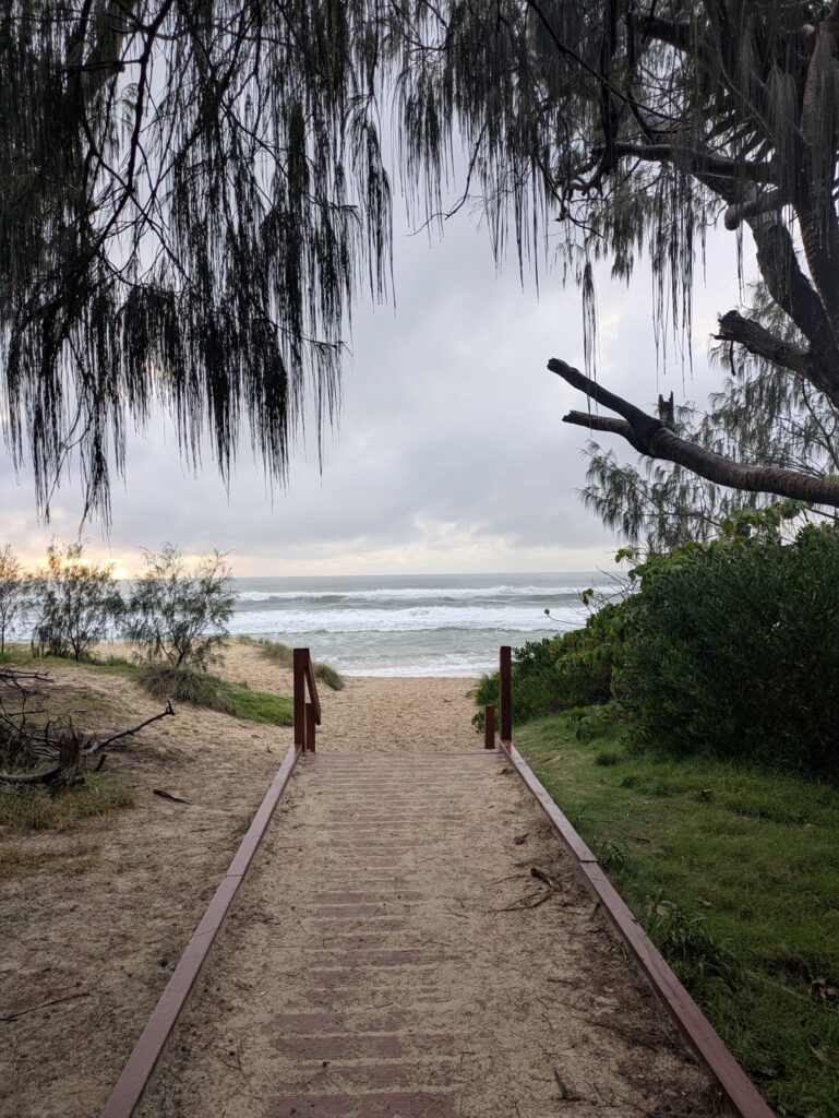 Looking down a sandy path to the beach with palm trees on each side