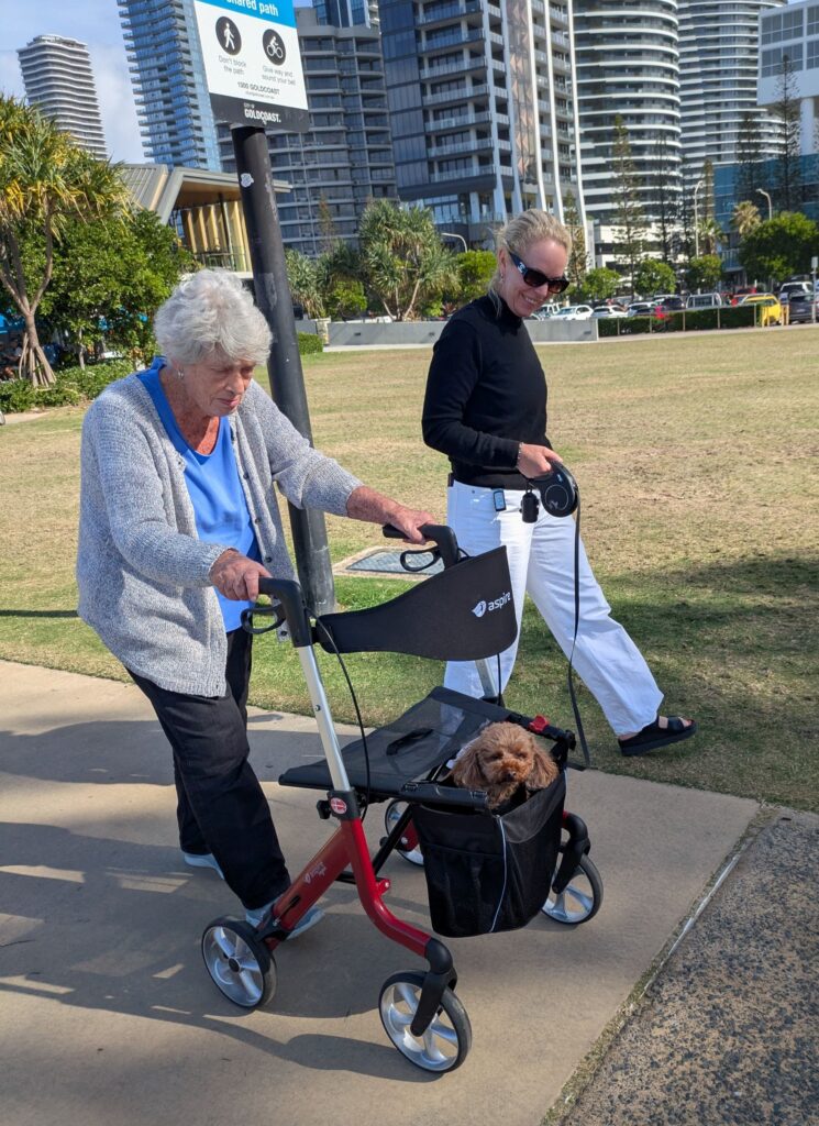 A tiny poodle in the front of an older lady's walker, walking through a beachside park