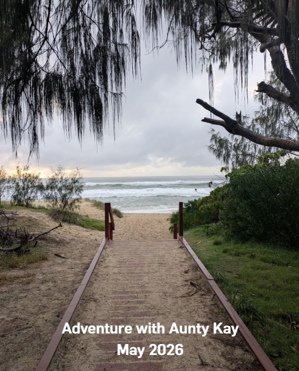 Looking down a sandy path to the beach with palm trees on each side